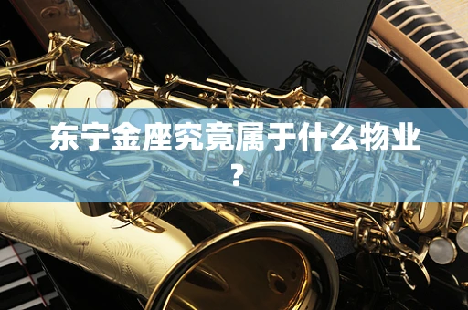 东宁金座究竟属于什么物业？