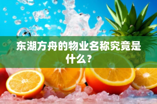 东湖方舟的物业名称究竟是什么？