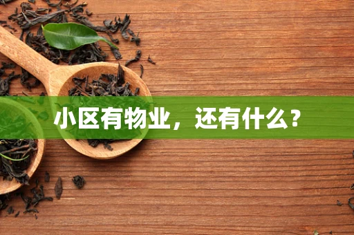 小区有物业，还有什么？