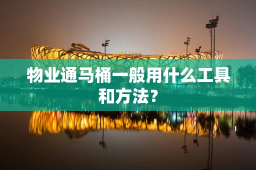 物业通马桶一般用什么工具和方法？