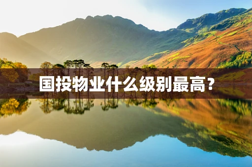 国投物业什么级别最高？