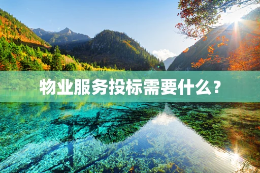 物业服务投标需要什么？
