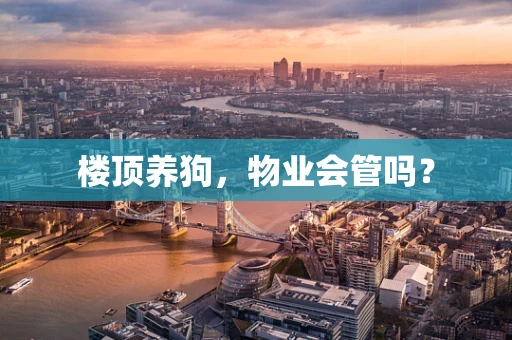 楼顶养狗，物业会管吗？