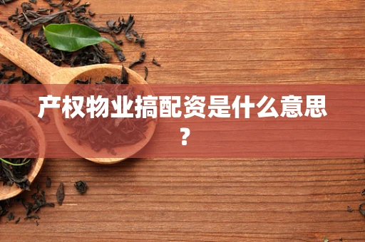 产权物业搞配资是什么意思？