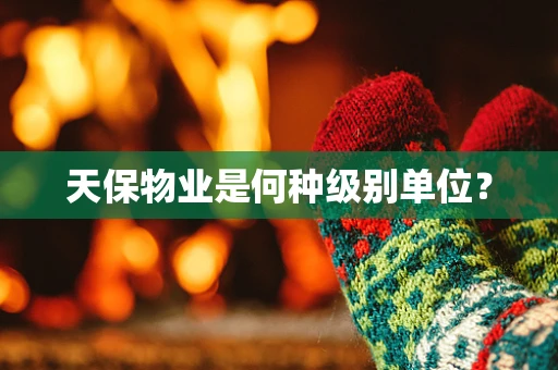 天保物业是何种级别单位？