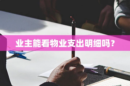 业主能看物业支出明细吗？