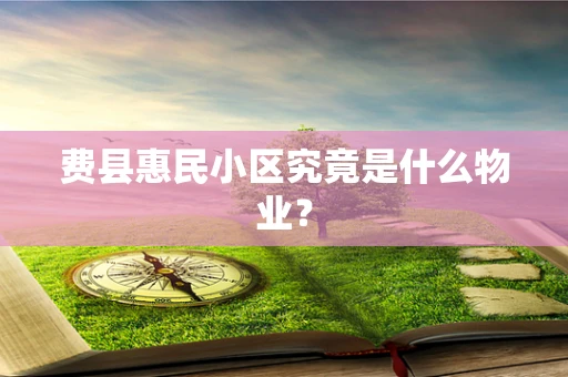 费县惠民小区究竟是什么物业？