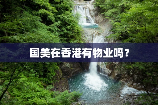 国美在香港有物业吗？