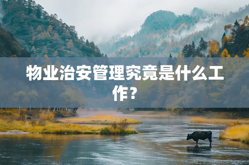 物业治安管理究竟是什么工作？