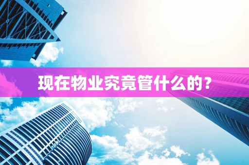 现在物业究竟管什么的？
