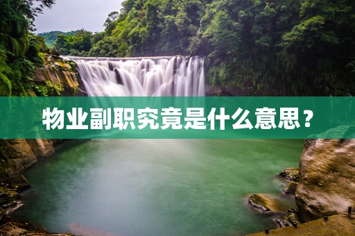 物业副职究竟是什么意思？