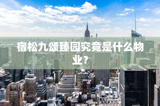 宿松九颂臻园究竟是什么物业？