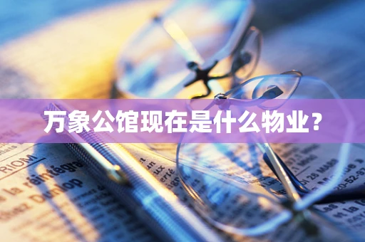 万象公馆现在是什么物业？