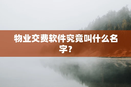 物业交费软件究竟叫什么名字？