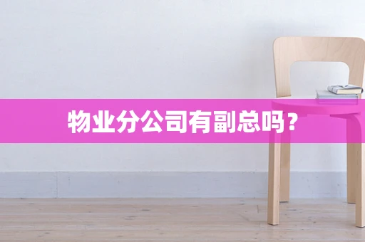 物业分公司有副总吗？