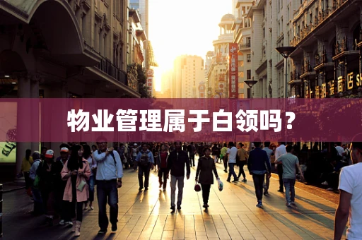 物业管理属于白领吗？
