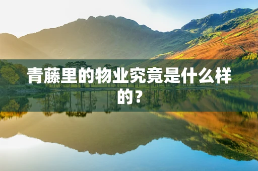 青藤里的物业究竟是什么样的？