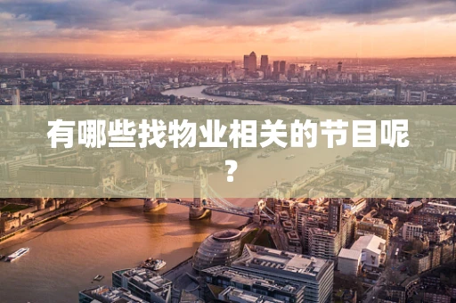 有哪些找物业相关的节目呢？