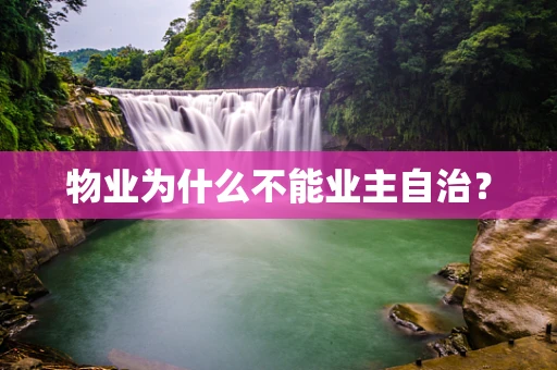 物业为什么不能业主自治？