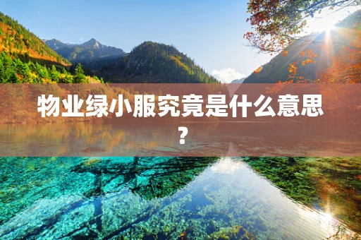 物业绿小服究竟是什么意思？