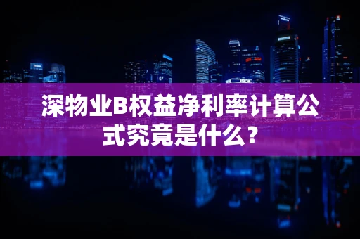 深物业B权益净利率计算公式究竟是什么？