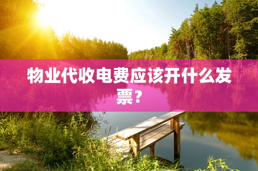 物业代收电费应该开什么发票？