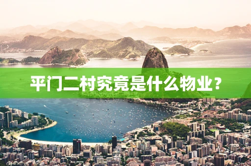 平门二村究竟是什么物业？