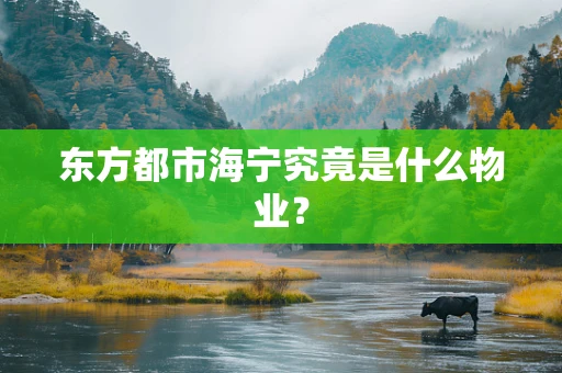 东方都市海宁究竟是什么物业？