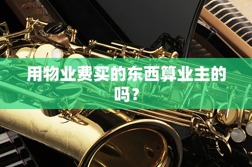 用物业费买的东西算业主的吗？
