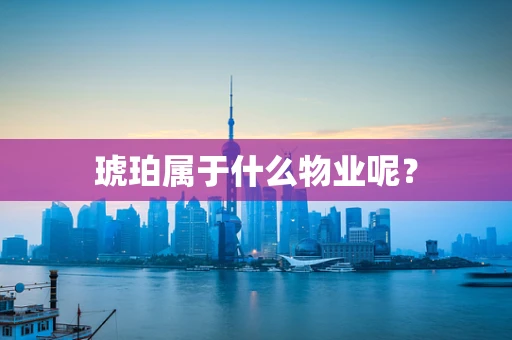 琥珀属于什么物业呢？