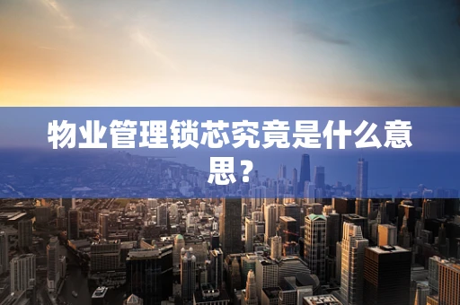 物业管理锁芯究竟是什么意思？
