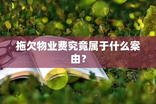 拖欠物业费究竟属于什么案由？
