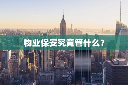物业保安究竟管什么？