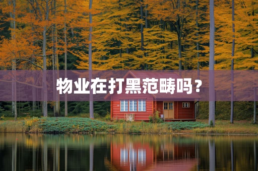 物业在打黑范畴吗？