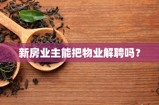 新房业主能把物业解聘吗？