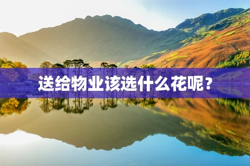 送给物业该选什么花呢？