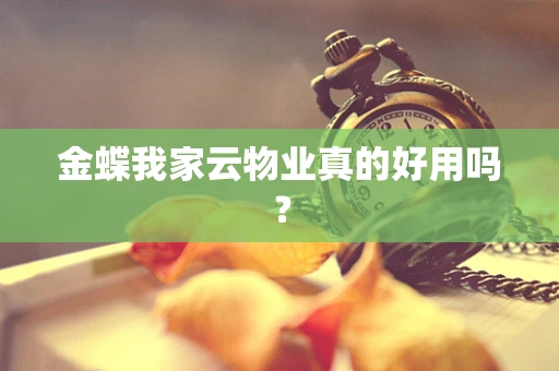 金蝶我家云物业真的好用吗？