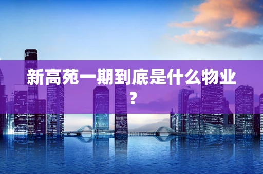新高苑一期到底是什么物业？