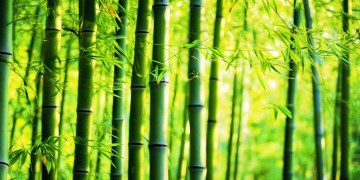 柳州有万科物业吗？