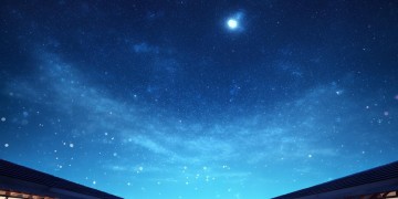 蓝色星空物业真的管事吗？